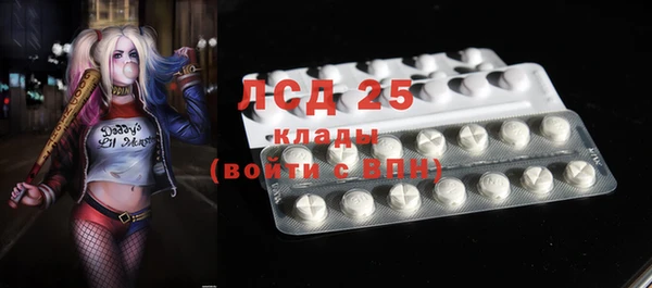 ПСИЛОЦИБИНОВЫЕ ГРИБЫ Наволоки
