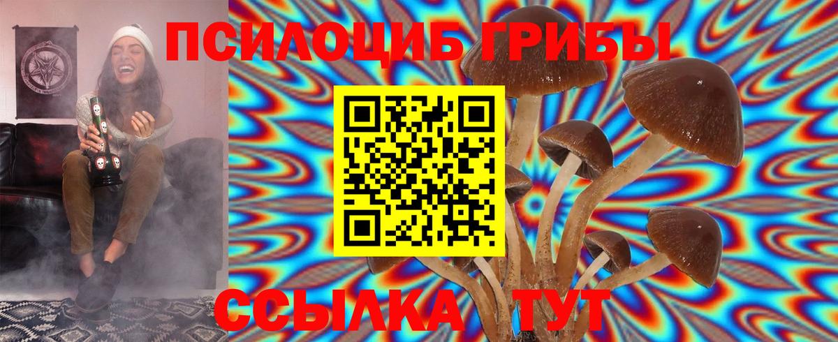 Псилоцибиновые грибы Psilocybe  Галлюциногенные грибы GOLDEN TEACHER  Таганрог  Вход с VPN 
