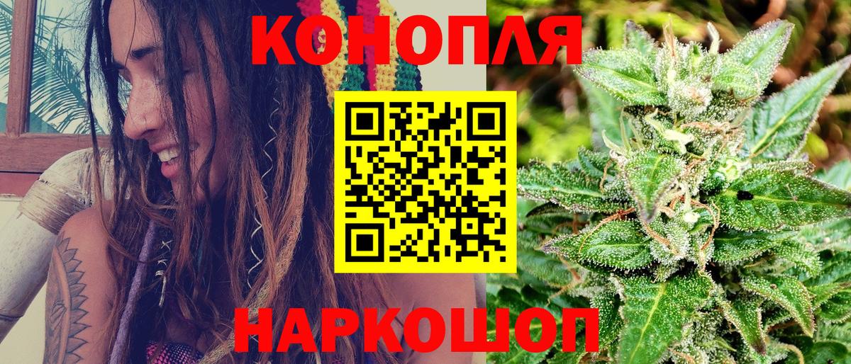 Конопля план Таганрог